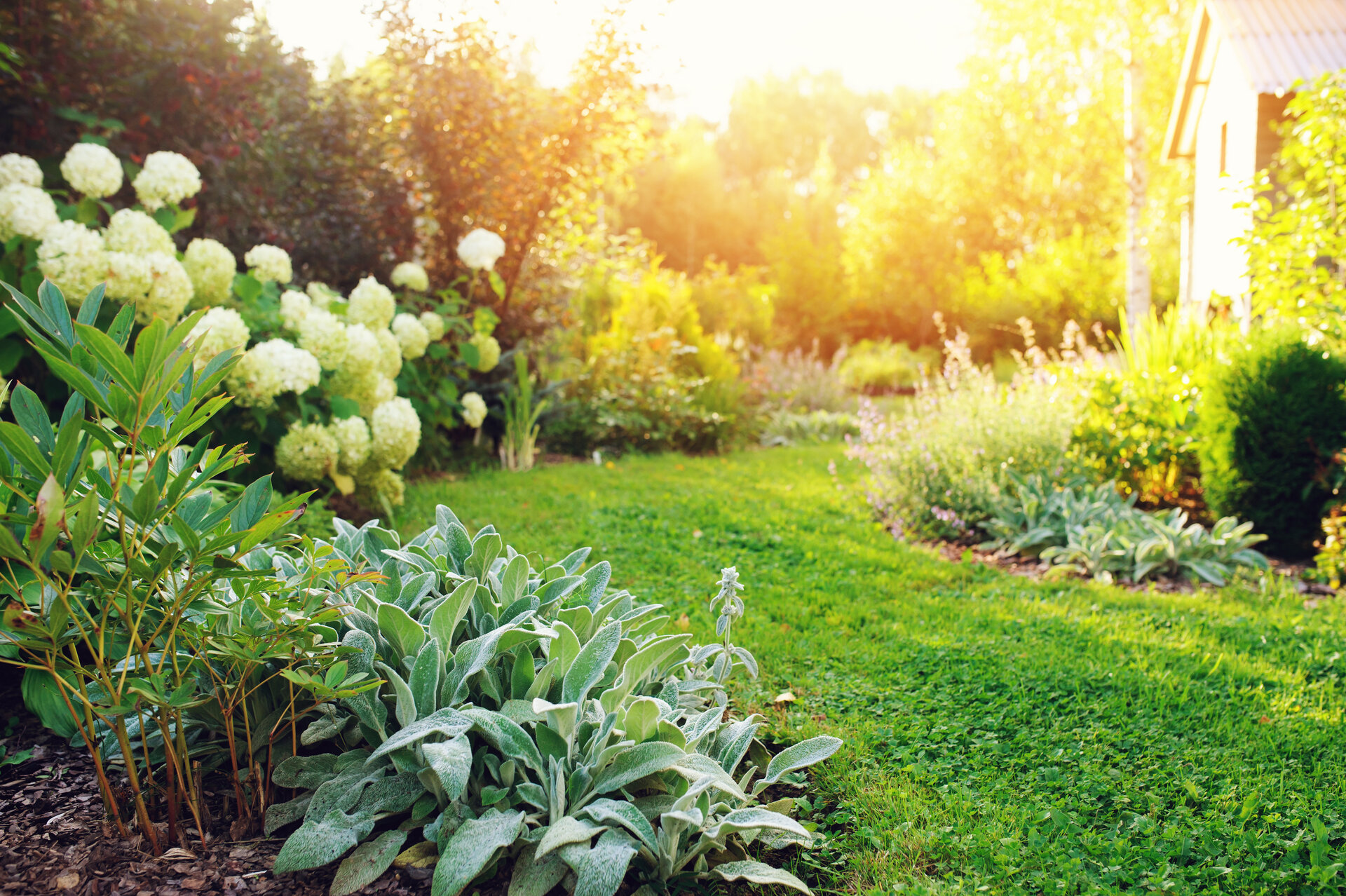 So Machen Sie Ihren Garten Fit F r Den Sommer Bau Ratgeber so-machen-sie-ihren-garten-fit-f-r-den-sommer-bau-ratgeber